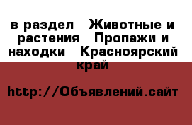  в раздел : Животные и растения » Пропажи и находки . Красноярский край